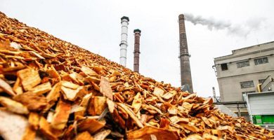 renewable energy biomass