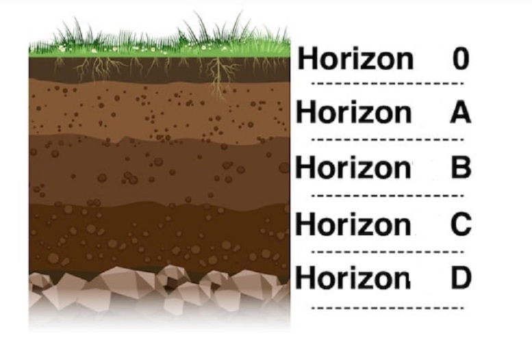 strata soil layers