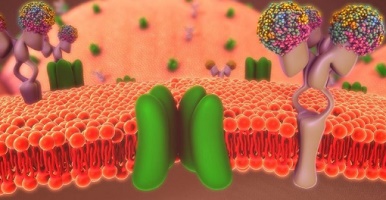 cellular membrane