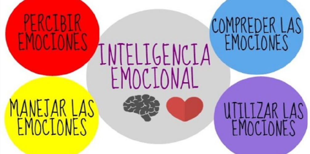 What is emotional intelligence? - WhatMaster