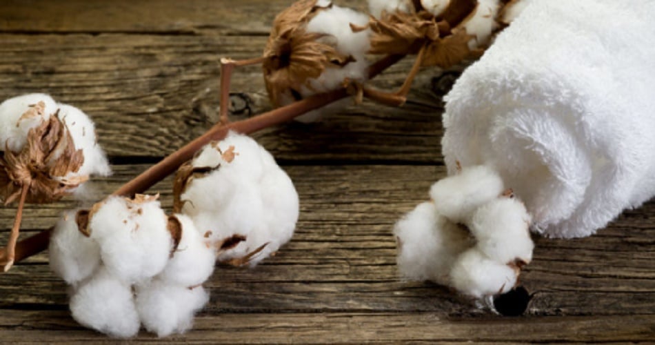 Organic matter - cotton