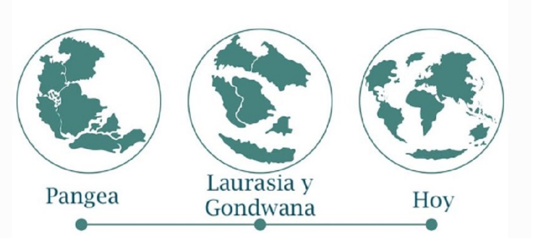 pangea continental drift theory laurasia gondwana