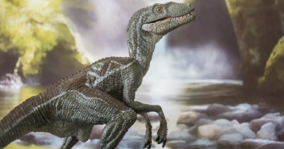 Reptiles - Dinosaurs. velociraptor