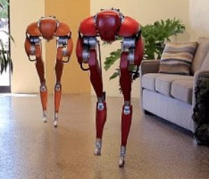 Bipedal Cassei humanoid robot is a social robot intended to develop robotic technology