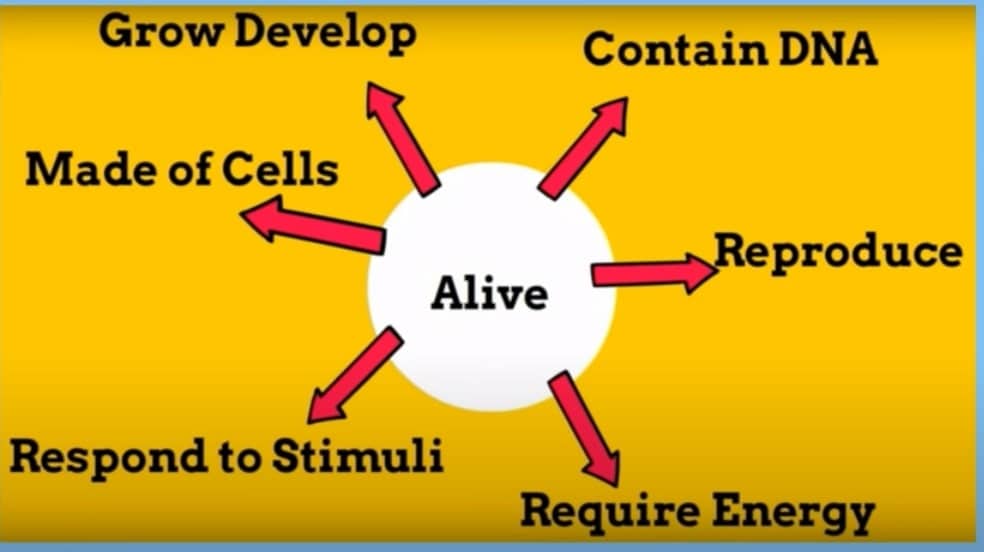 Ихор тараска abiotic factor. Abiotic Factor игра. Biotic and abiotic Factors. Abiotic Factor Wiki. Abiotic Factor ЖК-экран.