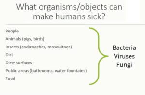 organisoms or objects can make humans sick