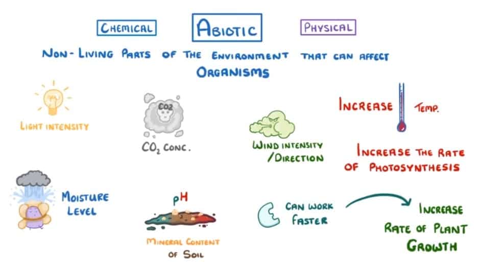 what-is-the-difference-between-biotic-and-abiotic-factors-in-detail