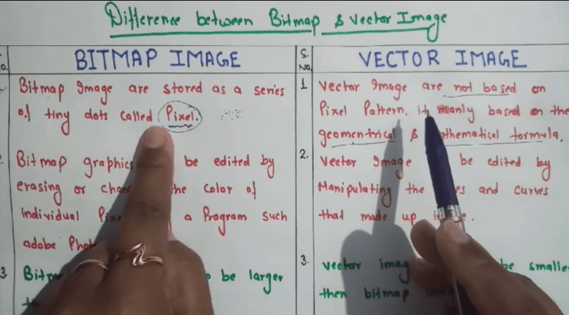 Bitmap Image Are Made Up Of Difference Between Bitmap And Vector With Table - Whatmaster