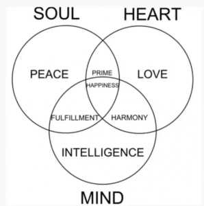 Difference between mind and soul 
