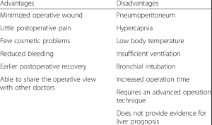 Operation, advantages and disadvantages