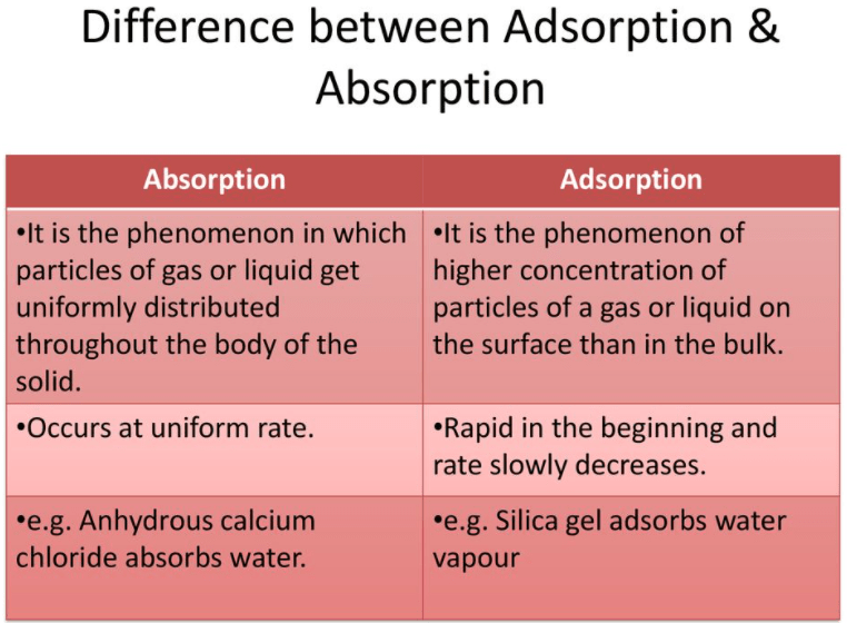 difference between absorption and adsorption