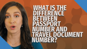 difference between passport and travel document