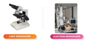 differences between light microscope and electron microscope