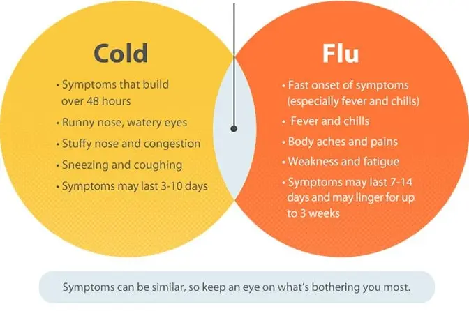 Difference Between Cold And Flu With Symptoms and treatment
